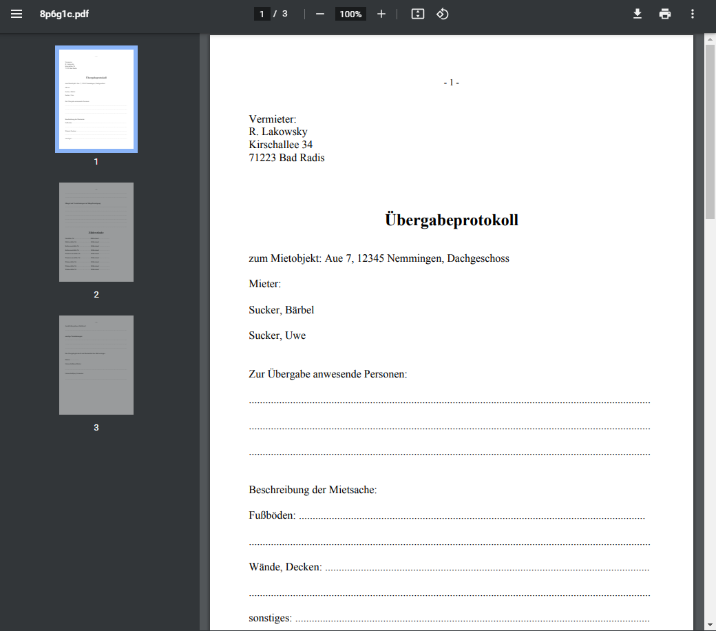 screenshotspdf uebergabeprotokoll